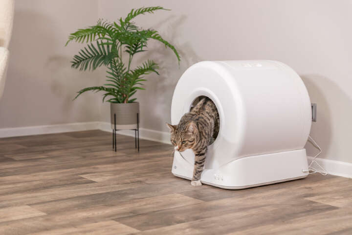 TRIXIE Smarte selbstreinigende Katzentoilette